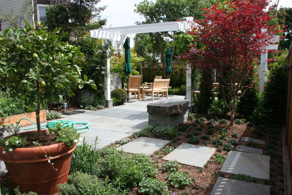 サンフランシスコにあるコンテンポラリースタイルのおしゃれな庭 (パーゴラ) の写真