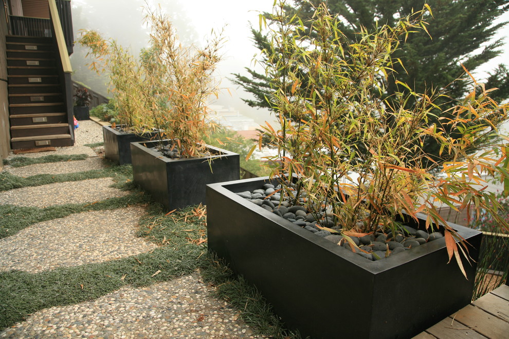 Cette photo montre un jardin arrière moderne de taille moyenne avec une exposition partiellement ombragée et du gravier.