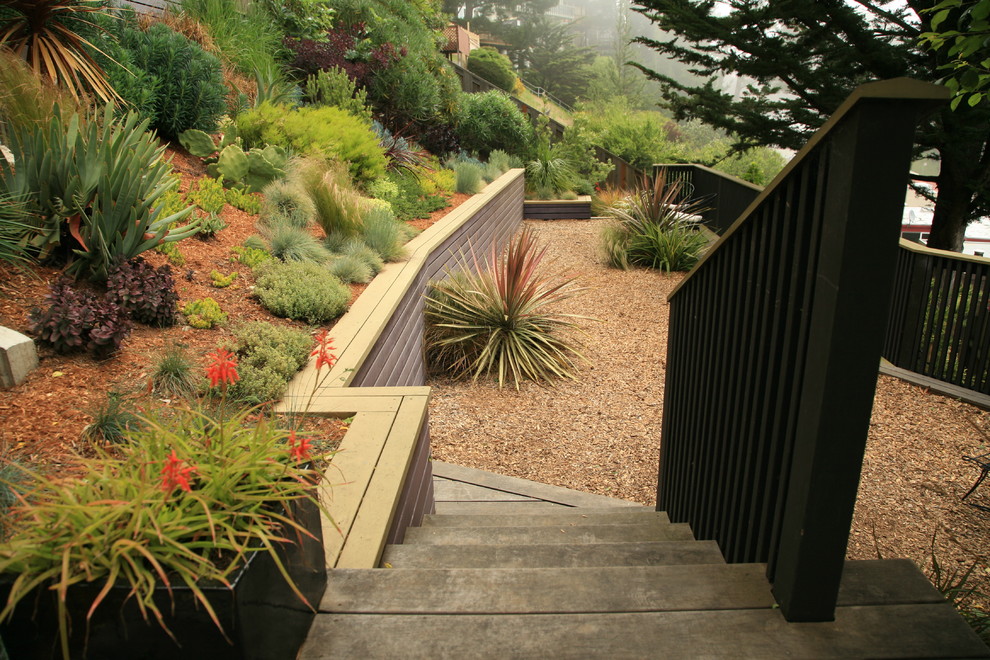 Photo of a modern landscaping in San Francisco.