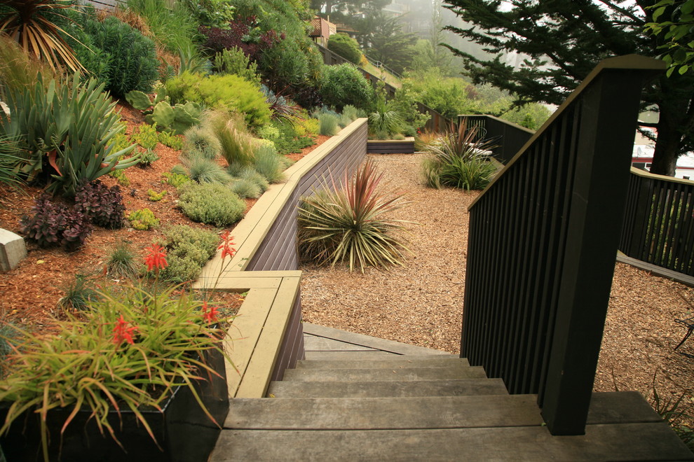 Idée de décoration pour un jardin minimaliste.