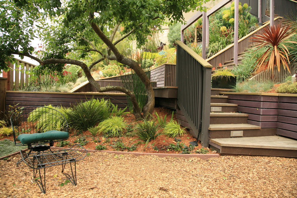 Modern garden in San Francisco.