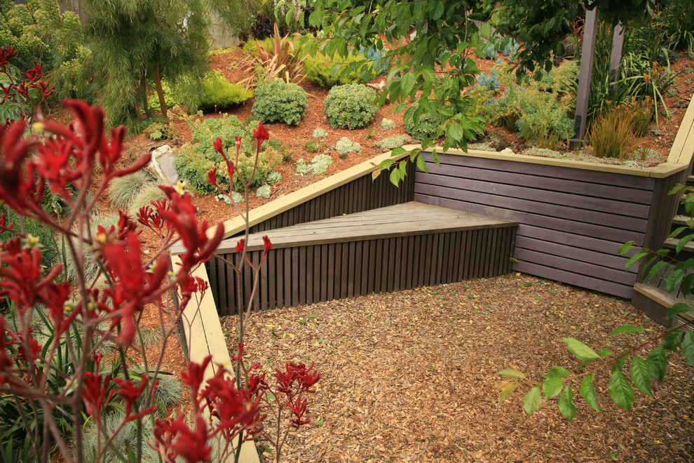 Mittelgroßer, Halbschattiger Moderner Gartenweg hinter dem Haus mit Mulch in San Francisco