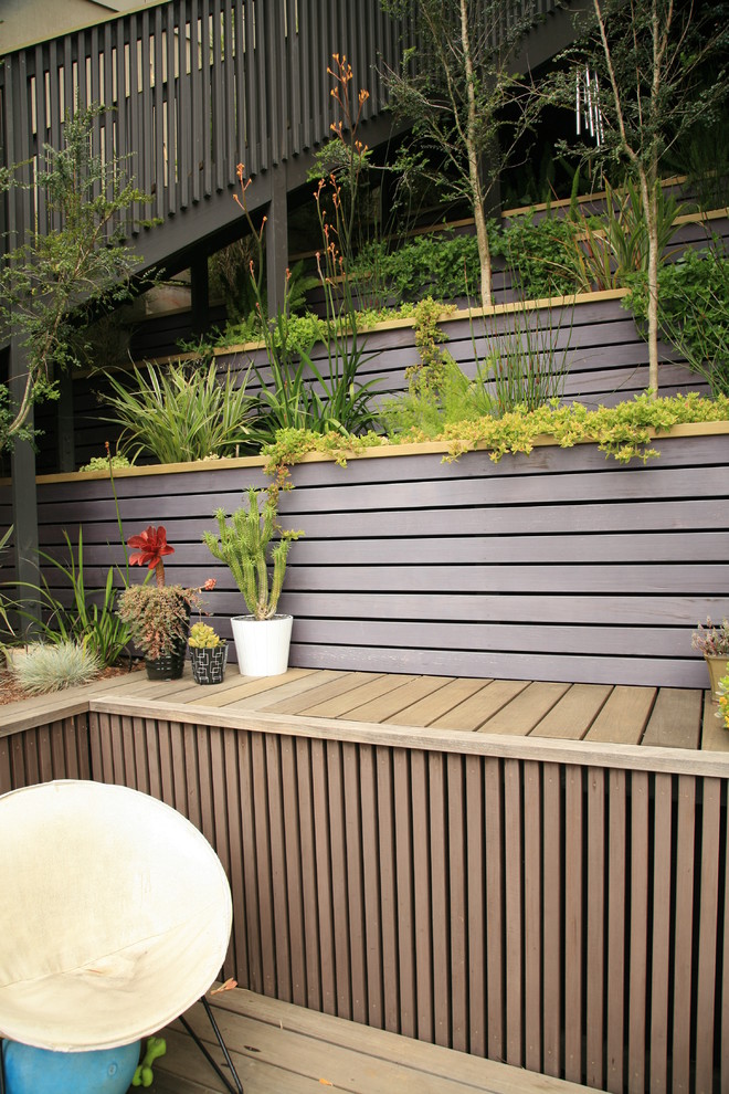 Photo of a modern garden in San Francisco.