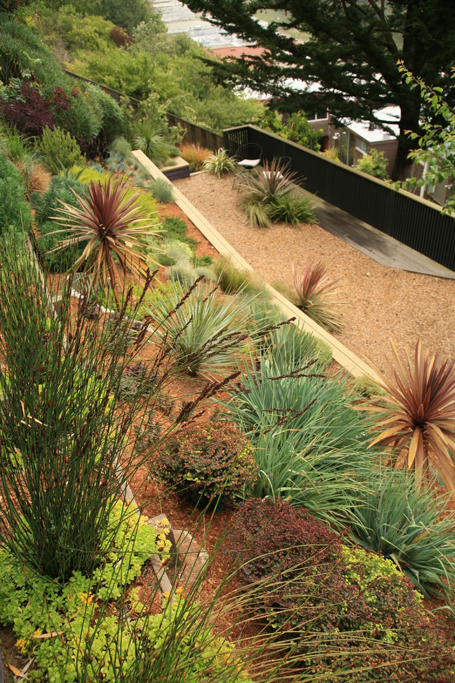 Design ideas for a modern landscaping in San Francisco.