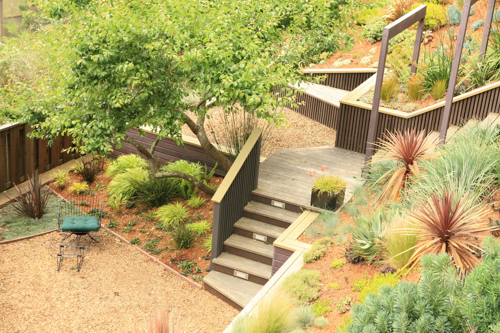 Inspiration for a large modern drought-tolerant landscaping in San Francisco.