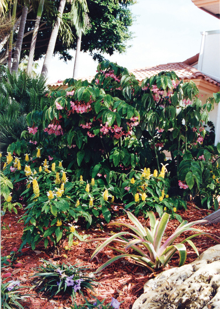 Design ideas for a tropical front yard landscaping in Miami.