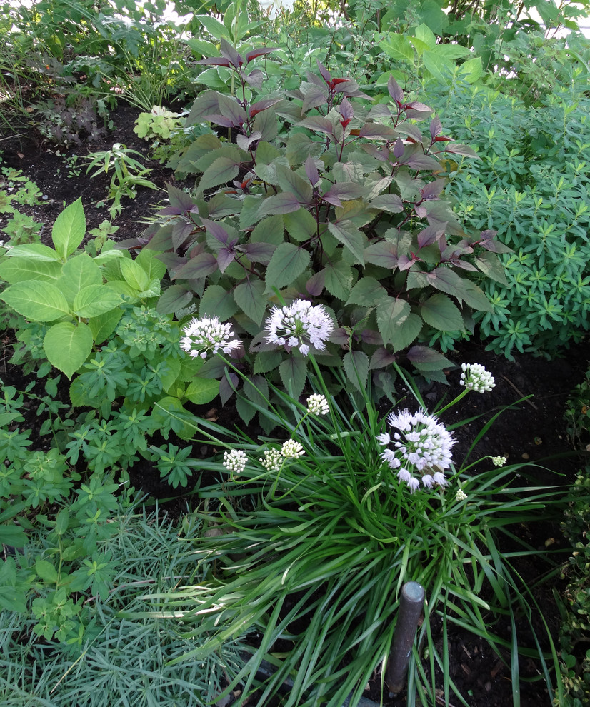 Exemple d'un petit jardin latéral chic au printemps avec une exposition partiellement ombragée et du gravier.