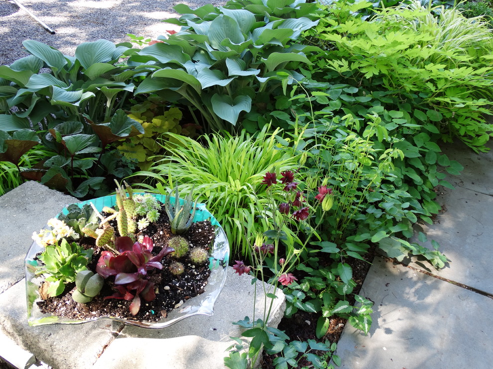 Cette image montre un petit jardin arrière design l'été avec une exposition ombragée et du gravier.