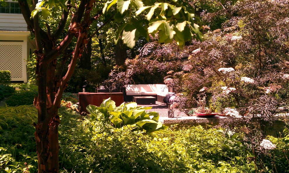 Kleiner, Schattiger Moderner Kiesgarten hinter dem Haus mit Feuerstelle in New York