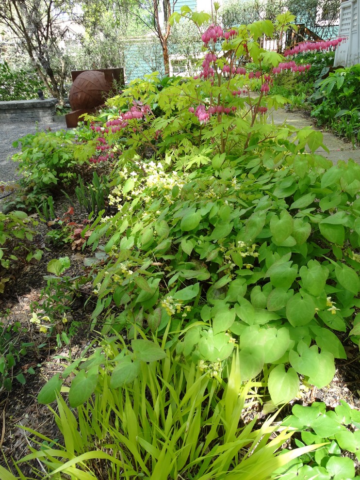 Foto di un piccolo giardino moderno in ombra dietro casa in estate con un focolare e ghiaia