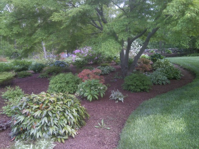 Shade Garden (low maintenance) - Country - Garden - Other - by Nature's ...