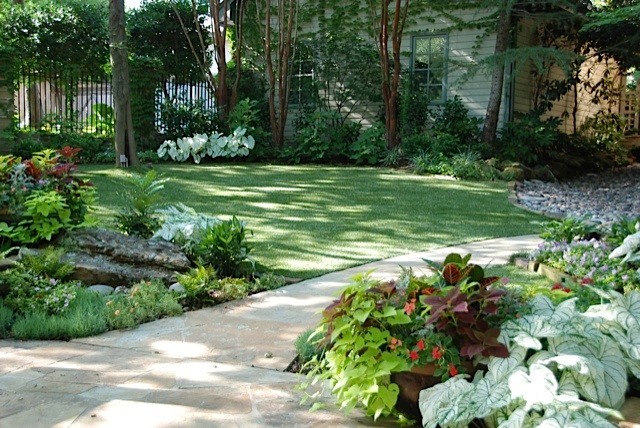 Shade garden - Traditional - Landscape - Dallas - by Original Landscape