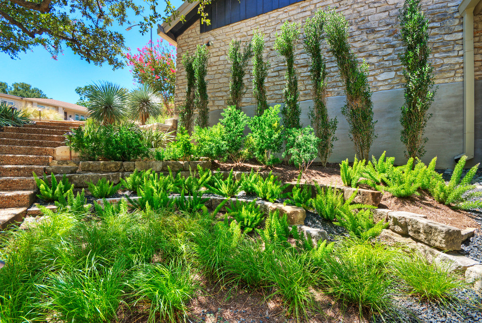 Ispirazione per un grande giardino xeriscape minimalista in ombra davanti casa in primavera con un muro di contenimento e ghiaia