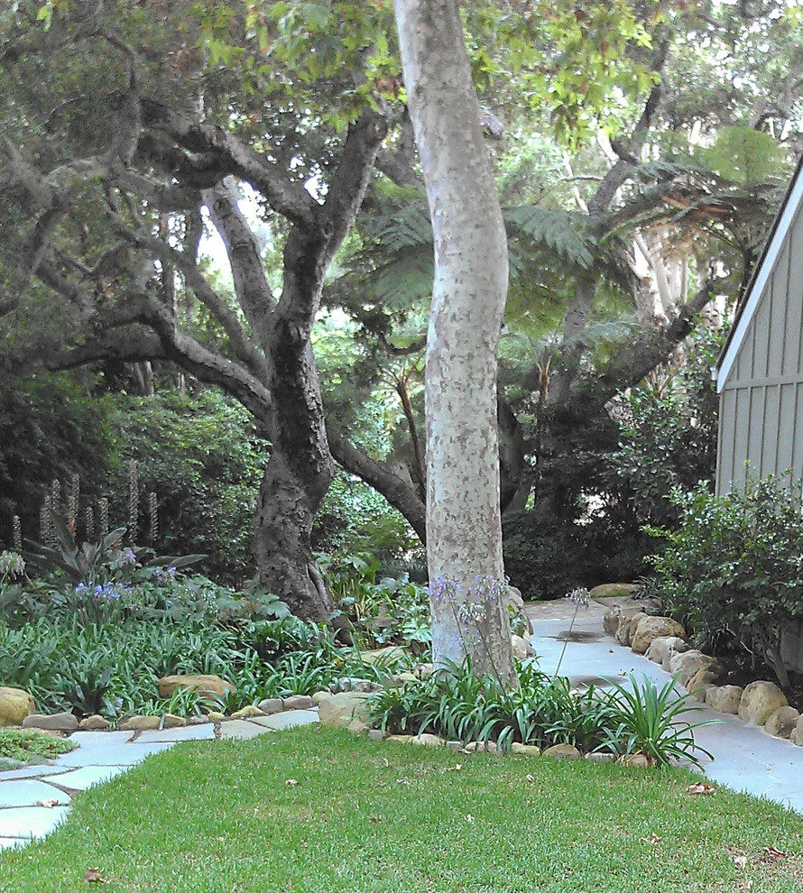 Idee per un giardino chic in ombra di medie dimensioni e dietro casa con un ingresso o sentiero e pavimentazioni in pietra naturale