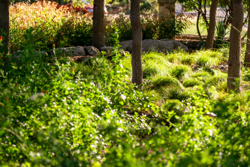 Стильный дизайн: большой тенистый, осенний засухоустойчивый сад на переднем дворе в современном стиле с клумбами и мульчированием - последний тренд