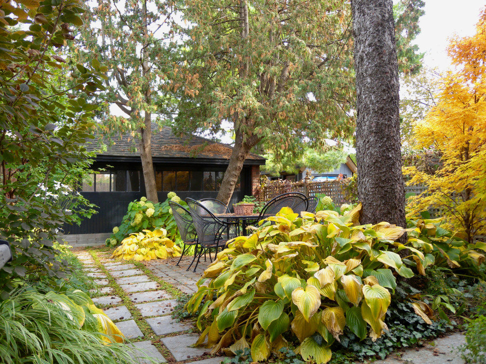 Esempio di un piccolo giardino contemporaneo in ombra dietro casa in autunno con pavimentazioni in cemento e un ingresso o sentiero