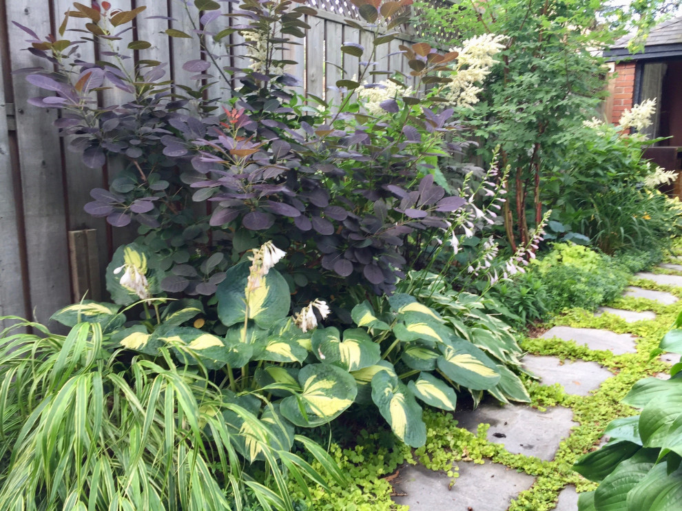Inspiration pour un petit jardin arrière design l'été avec une exposition ombragée, des pavés en béton et un massif de fleurs.