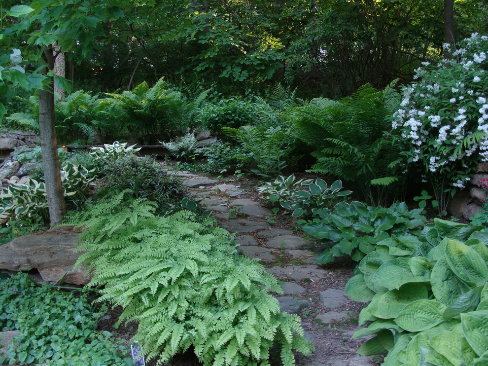 Идея дизайна: большой участок и сад на заднем дворе в классическом стиле с садовой дорожкой или калиткой, полуденной тенью и покрытием из каменной брусчатки