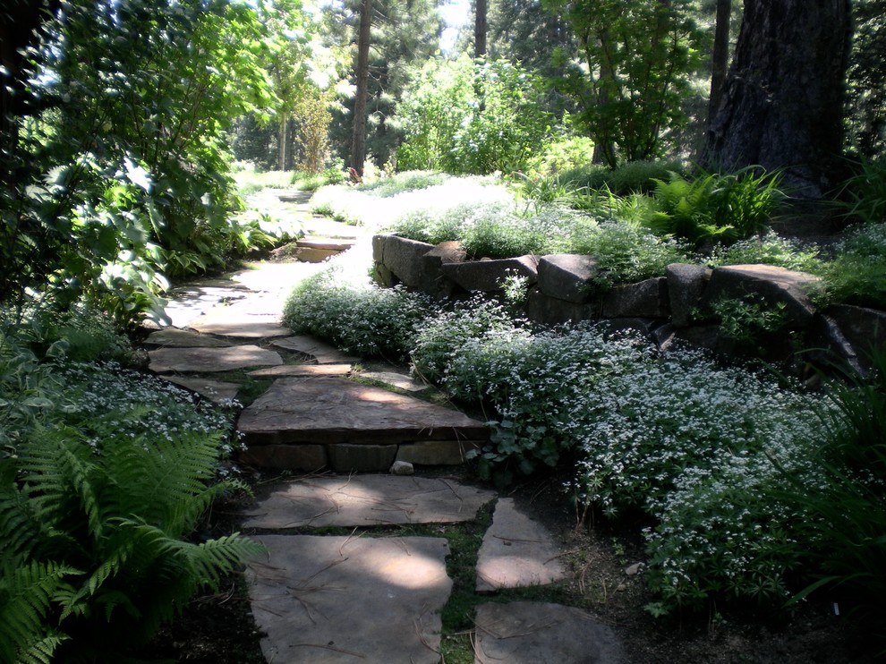 Immagine di un giardino formale eclettico esposto a mezz'ombra di medie dimensioni e nel cortile laterale in primavera con un muro di contenimento e pavimentazioni in pietra naturale
