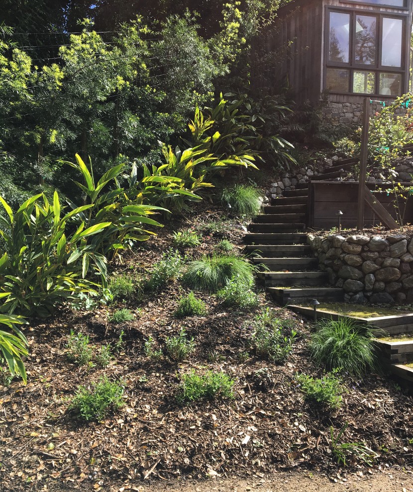 Стильный дизайн: огромный засухоустойчивый сад на заднем дворе с полуденной тенью - последний тренд