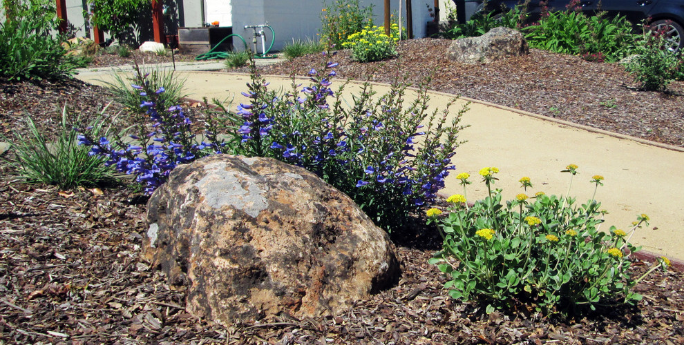 Idee per un giardino xeriscape esposto in pieno sole di medie dimensioni e davanti casa in primavera con pavimentazioni in pietra naturale