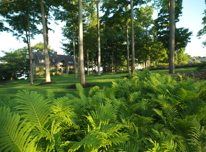 На фото: большой участок и сад на заднем дворе в стиле рустика с садовой дорожкой или калиткой и полуденной тенью с