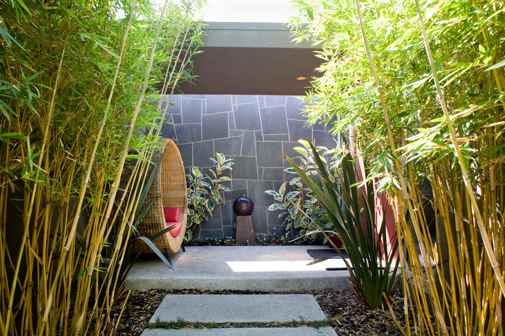Inspiration for a contemporary courtyard water fountain landscape in Los Angeles.