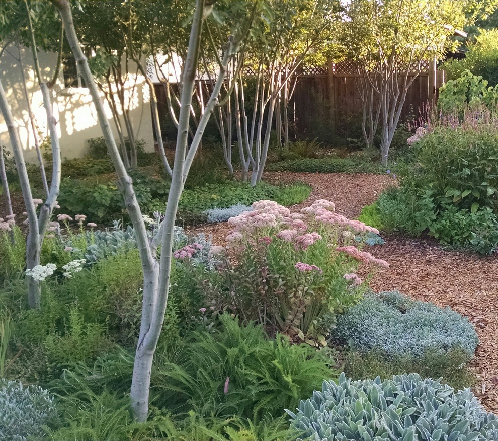 This is an example of a contemporary landscaping in Sacramento.