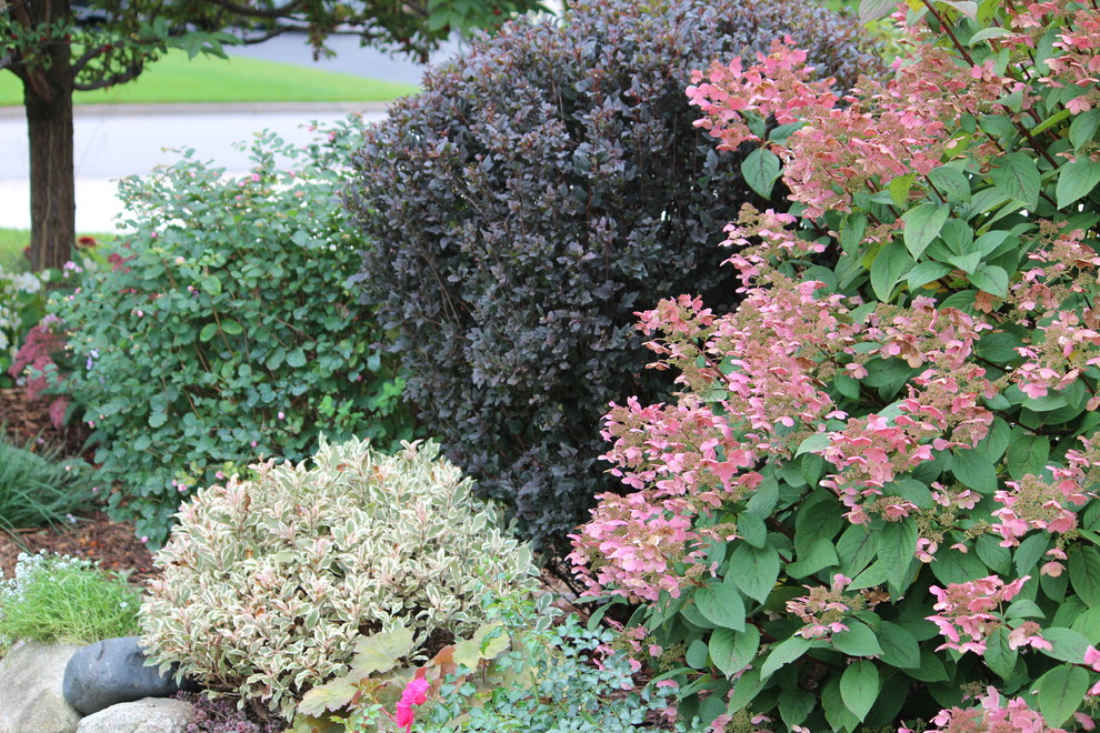 Shrub grouping Landscape Minneapolis by Garden Stories Houzz