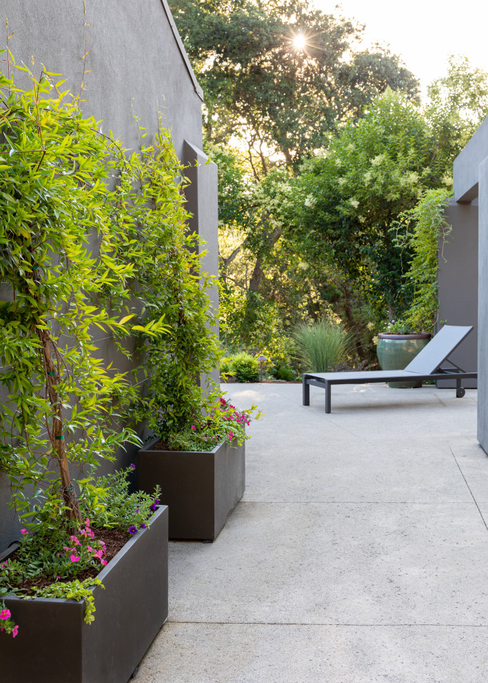 Стильный дизайн: участок и сад в стиле модернизм - последний тренд
