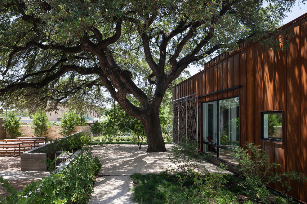 Großer, Schattiger Moderner Garten im Sommer, neben dem Haus mit Wüstengarten und Granitsplitt in Austin