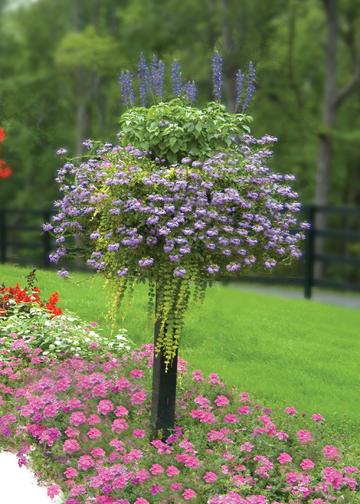 Foto di un giardino tradizionale esposto in pieno sole con un giardino in vaso