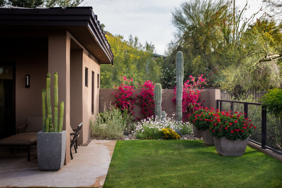 This is an example of a modern garden in Phoenix.