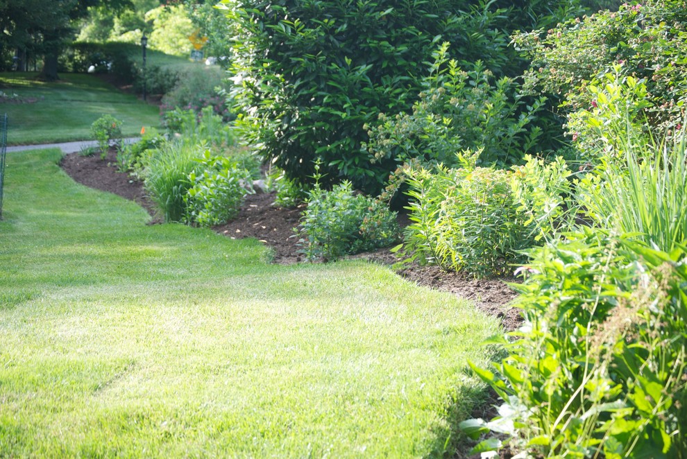 Стильный дизайн: участок и сад среднего размера на переднем дворе в классическом стиле с полуденной тенью - последний тренд