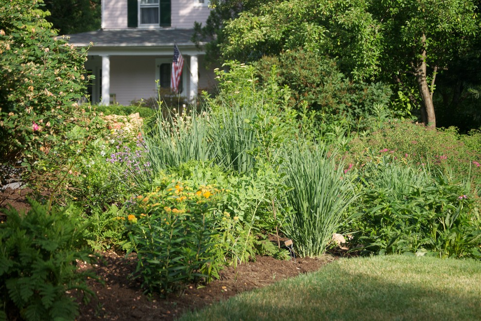 Пример оригинального дизайна: солнечный участок и сад среднего размера на боковом дворе в стиле фьюжн с хорошей освещенностью
