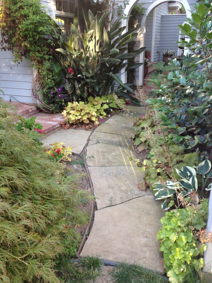 This is an example of a mediterranean landscaping in San Francisco.