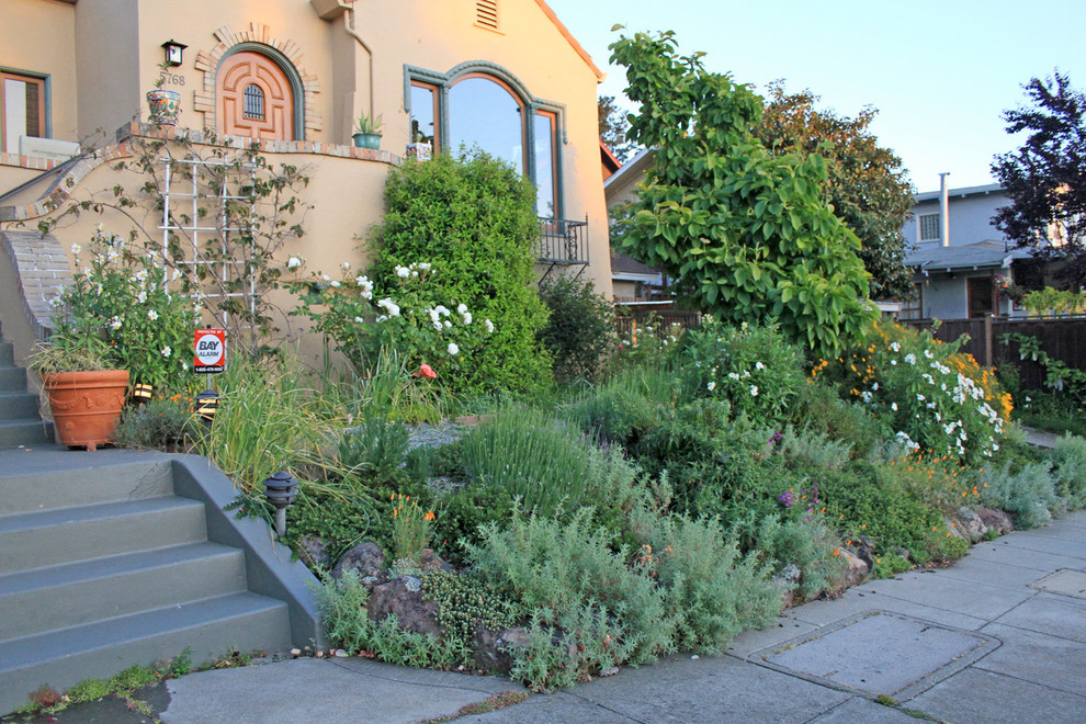 Esempio di un grande giardino stile americano esposto in pieno sole davanti casa in estate con un ingresso o sentiero e pacciame