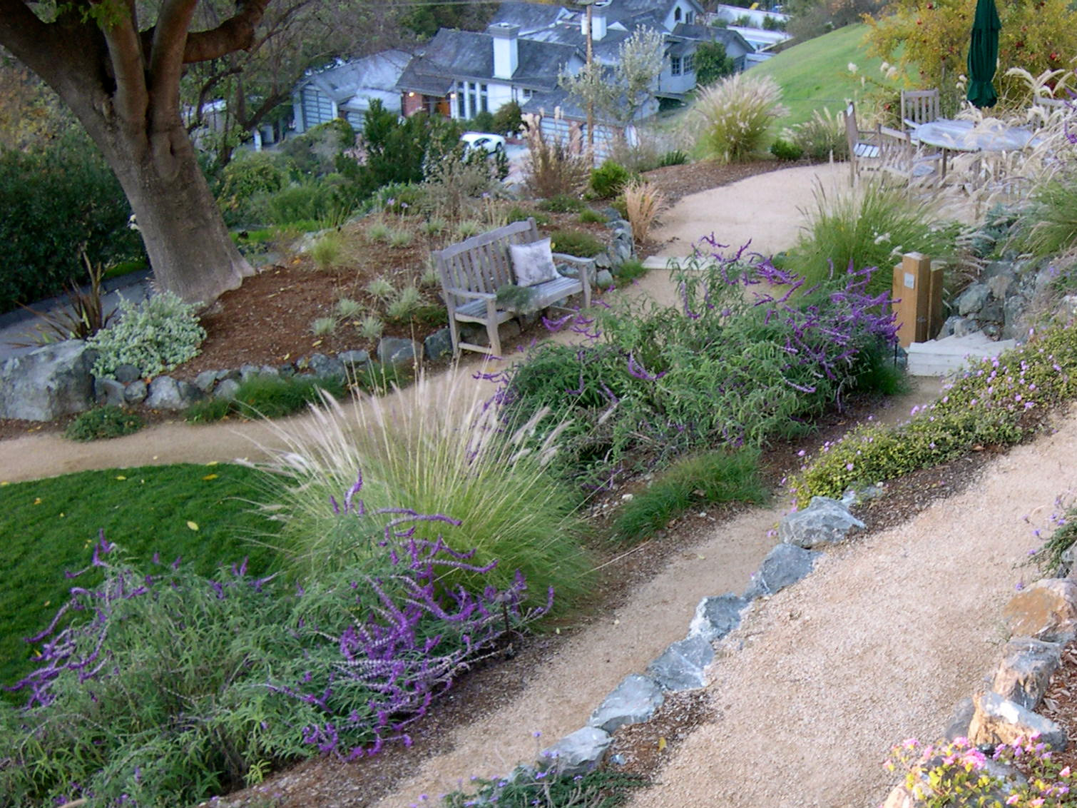 75 Beautiful Transitional Drought Tolerant Landscaping Pictures Ideas December 2021 Houzz
