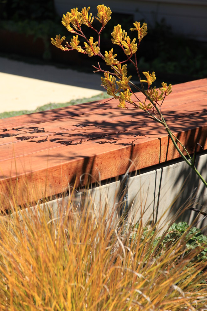 This is an example of a contemporary landscaping in San Francisco.