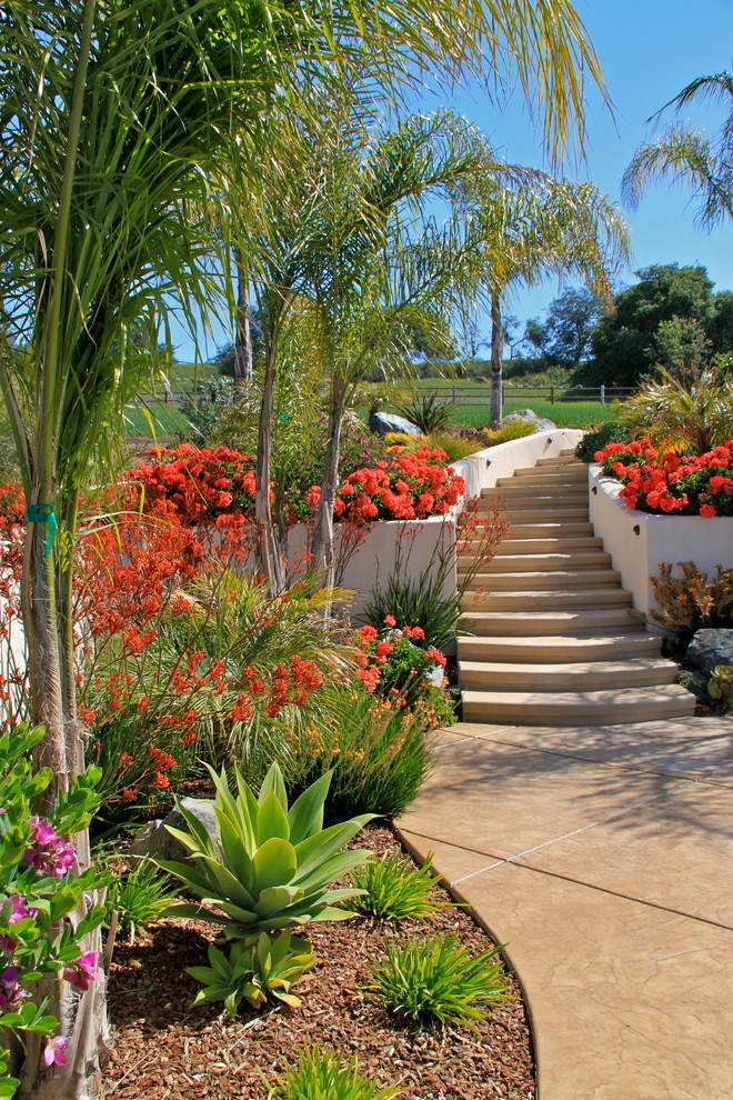Свежая идея для дизайна: огромный участок и сад на заднем дворе в средиземноморском стиле - отличное фото интерьера