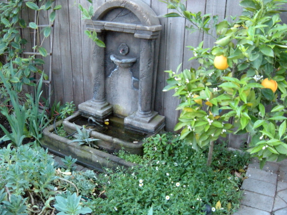 Свежая идея для дизайна: засухоустойчивый сад среднего размера на переднем дворе в стиле фьюжн с садовой дорожкой или калиткой, полуденной тенью и мощением клинкерной брусчаткой - отличное фото интерьера