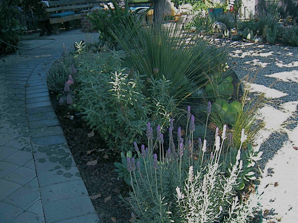 Diseño de jardín de secano contemporáneo de tamaño medio en patio trasero con fuente, exposición parcial al sol y adoquines de hormigón