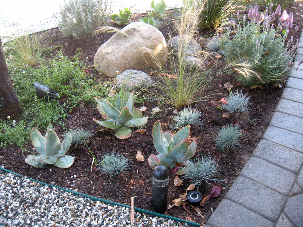 Mittelgroßer, Halbschattiger Stilmix Garten mit Mulch in Los Angeles