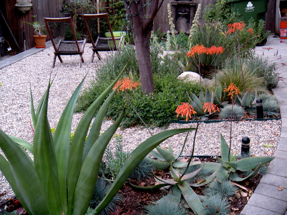 Design ideas for a mid-sized eclectic drought-tolerant and partial sun front yard gravel garden path in Los Angeles.