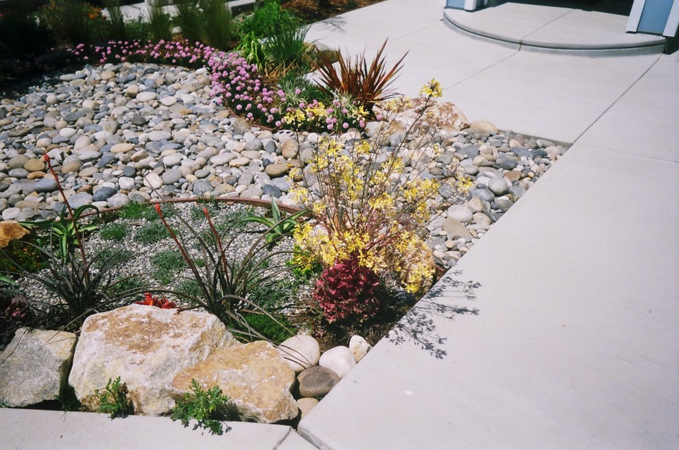 Medelhavsstil inredning av en mellanstor formell trädgård i delvis sol framför huset, med en trädgårdsgång och naturstensplattor