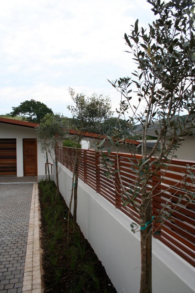 This is an example of a contemporary landscaping.