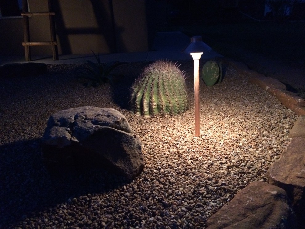 Imagen de camino de jardín de secano de estilo americano de tamaño medio en patio con gravilla