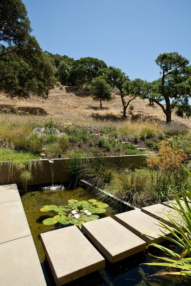 Mittelgroßer, Halbschattiger Moderner Garten neben dem Haus mit Wasserspiel und Betonboden in San Francisco
