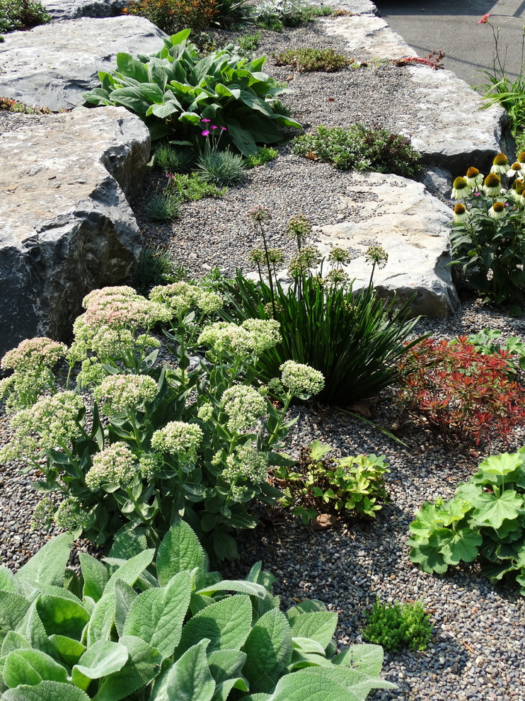 Réalisation d'un petit jardin avant tradition l'été avec une exposition ensoleillée et des pavés en pierre naturelle.