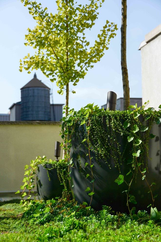Foto de camino de jardín actual de tamaño medio en azotea con jardín francés, exposición parcial al sol y entablado